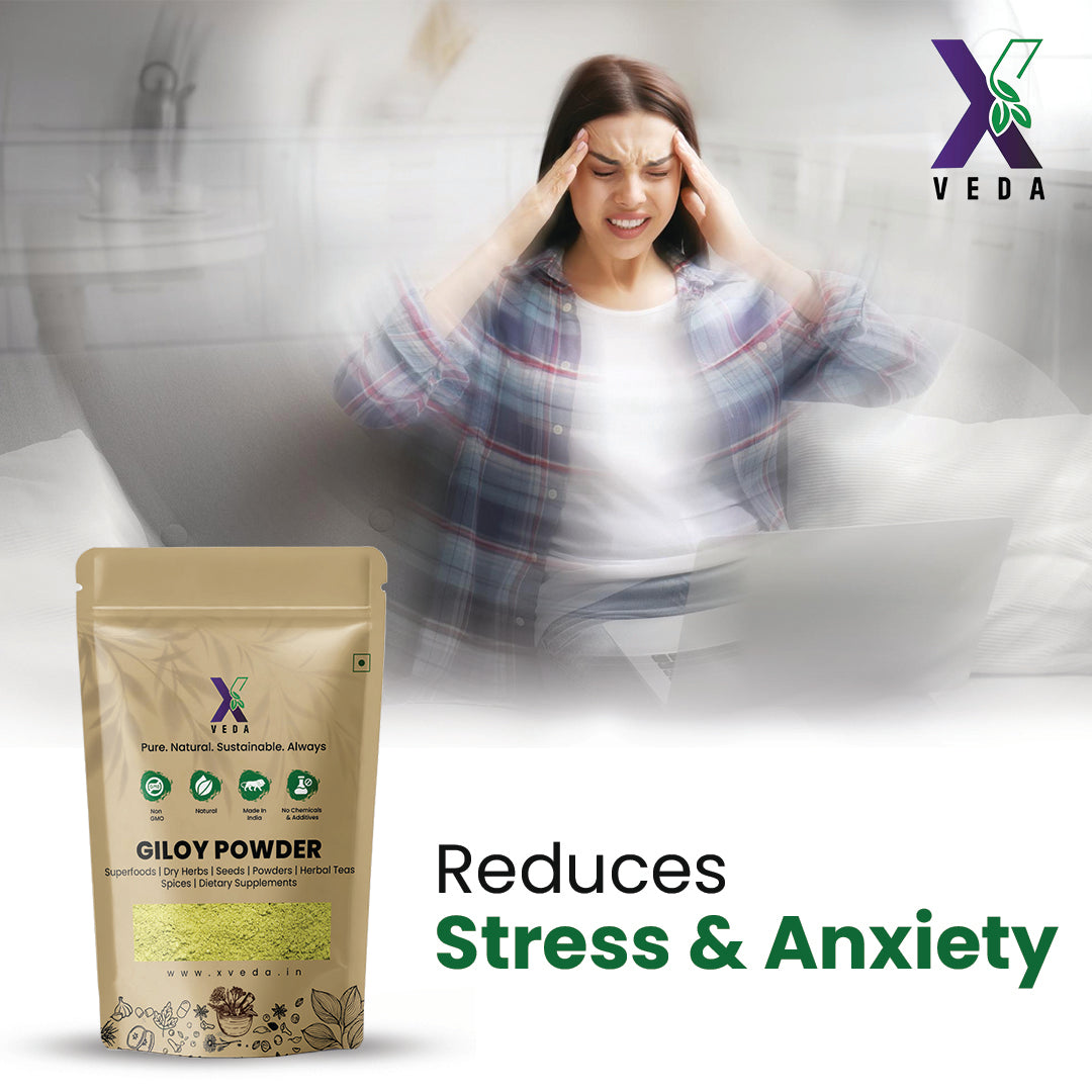 Giloy Powder (Guduchi) | 100% Pure & Natural | Ayurvedic Immunity Booster | Herbal Wellness Powder