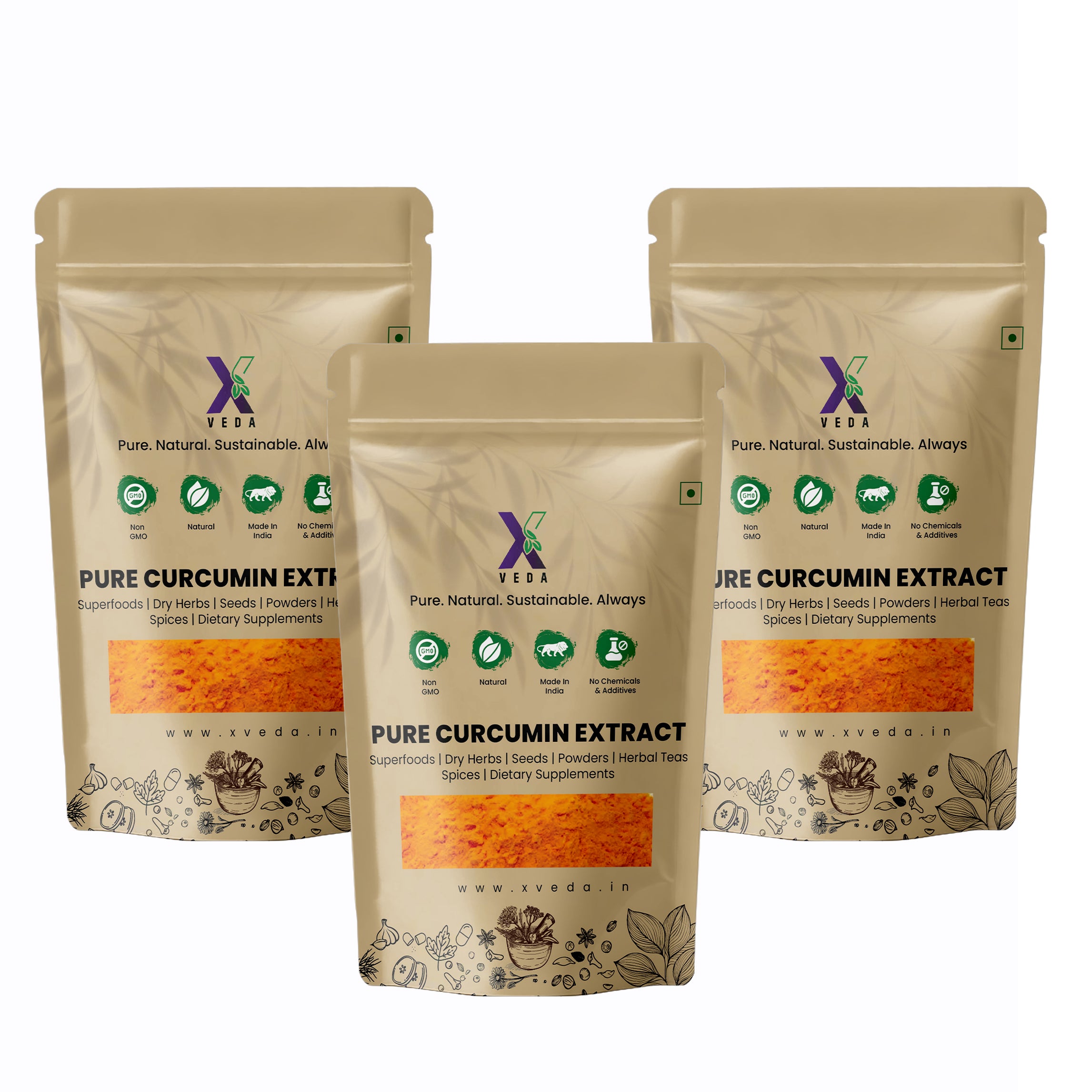 Pure Curcumin Extract | High Potency Turmeric Extract | Natural Antioxidant | Ayurvedic Wellness Supplement