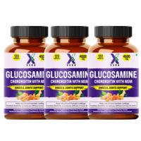 Glucosamine Chondroitin With MSM