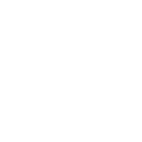 Researched &<br>Crafted by Experts