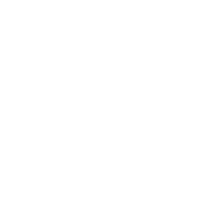 New-Age<br>Ayurvedic Formulations